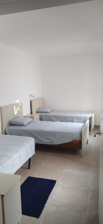 Pis Carretera Santa Pau Apartment โอลอต ภายนอก รูปภาพ